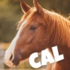 Twitch and Friends 19