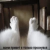 Мемы 9 19