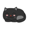 BlackCyberCat 18