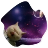 Space Cats 21
