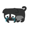 BlackCyberCat 20