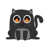 BlackCyberCat 22