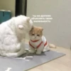 лYчшие пикчи —-> 14