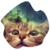 Space Cats 23