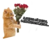 Trip Chat stickers pack 28