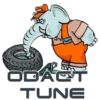 ChipTuning 24