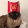 cats^2 30