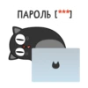 00 ПАРОЛЬ [***]
