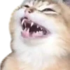 Gatitos 29