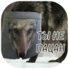 M for Memes ? 28