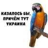 M for Memes ? 29