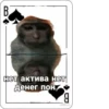 | 2