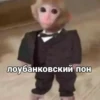 | 3