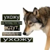 Xuilo a ne sticker pack :: 8