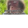 | 12