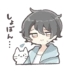 Hairy boy and cat 12