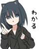 Shirt cat • 11