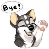 Huscai the Husky 5