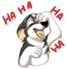 Huscai the Husky 7