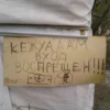Kavkaz girl 12