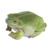 I like tea with lemon :: 14