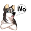 Huscai the Husky 9