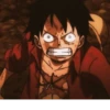 ༊*·˚ monkey D luffy 12