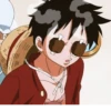 ༊*·˚ monkey D luffy 13