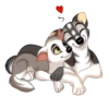 Huscai the Husky 12