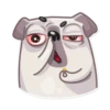 Water Pug 13