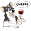 Huscai the Husky 14