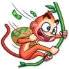 Go Ape 15