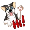 Huscai the Husky 15
