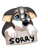 Huscai the Husky 16