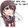 Sarcastic girl with pigtails 18