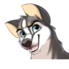 Huscai the Husky 17