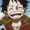 ༊*·˚ monkey D luffy 15