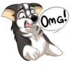 Huscai the Husky 18