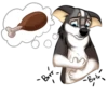 Huscai the Husky 19
