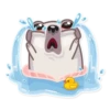 Water Pug 15