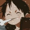 ༊*·˚ monkey D luffy 16