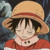 ༊*·˚ monkey D luffy 17