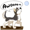 Huscai the Husky 22