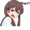 Sarcastic girl with pigtails 24