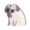 Water Pug 16
