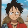 ༊*·˚ monkey D luffy 19