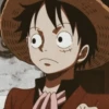 ༊*·˚ monkey D luffy 20