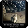 Мои рабочие стикеры  XD 7