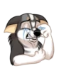 Huscai the Husky 23