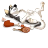 Huscai the Husky 25